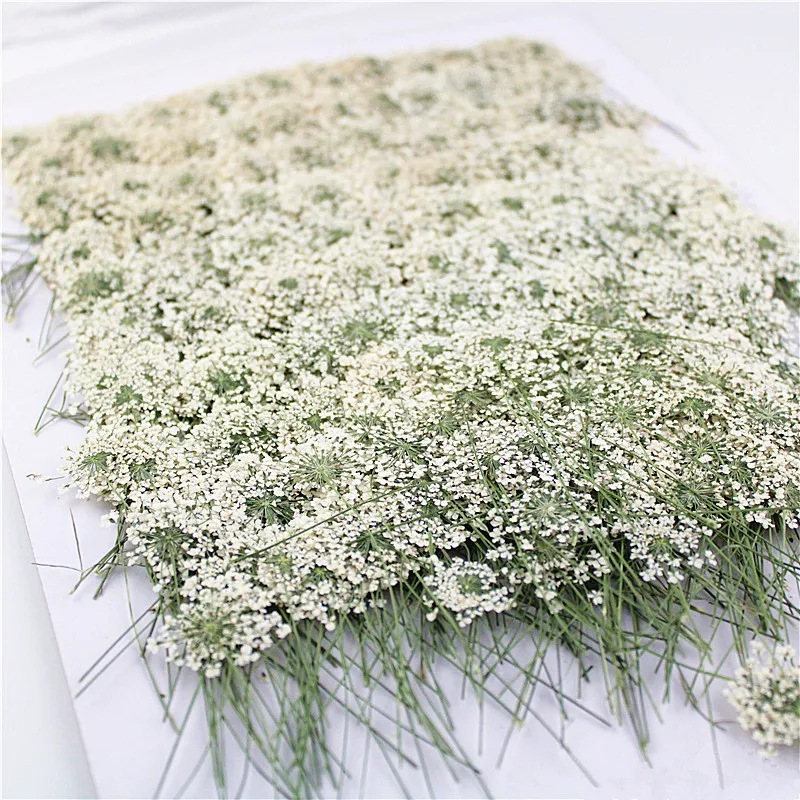 Dried Flower Bookmark - شموع معطرة ، 100 قطعة ،