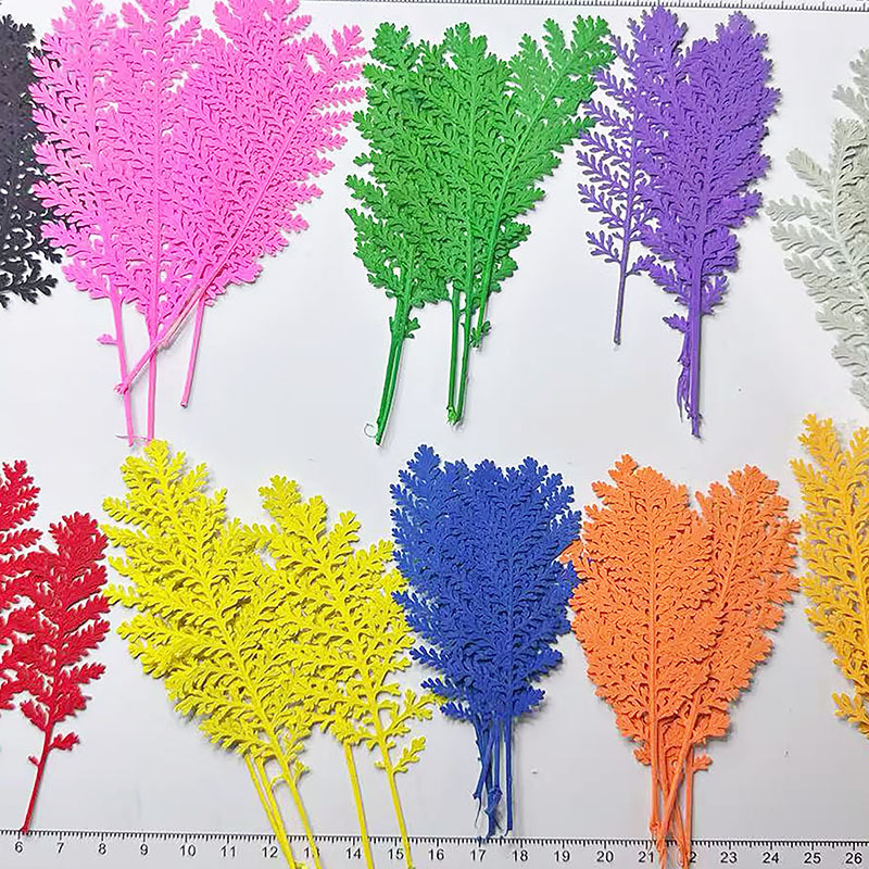 Dried Flower Bookmark - 100 قطعة من أوراق الريش الفضية