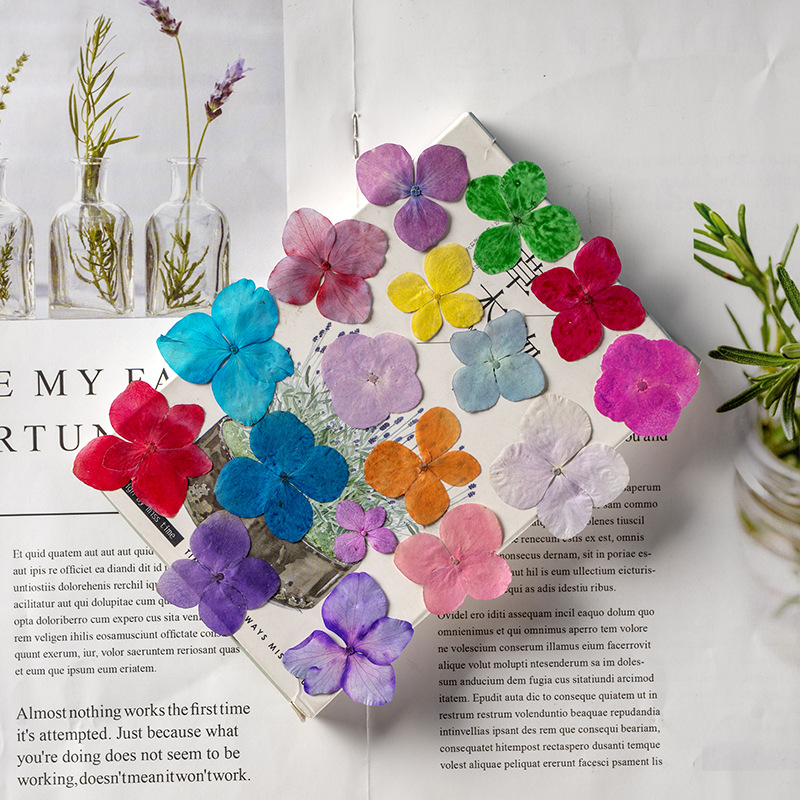 60 قطعة من زهور الهيدرانجيا ال - مراجعة Dried Flower Bookmark وسعره