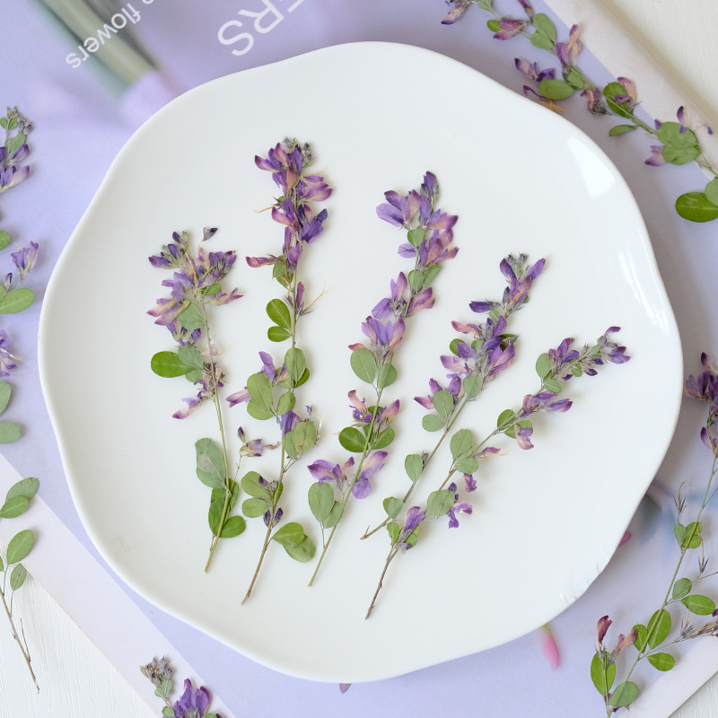 6 قطع، زهور ليسبيدزا فورموسَا  - مراجعة Dried Flower Bookmark وسعره