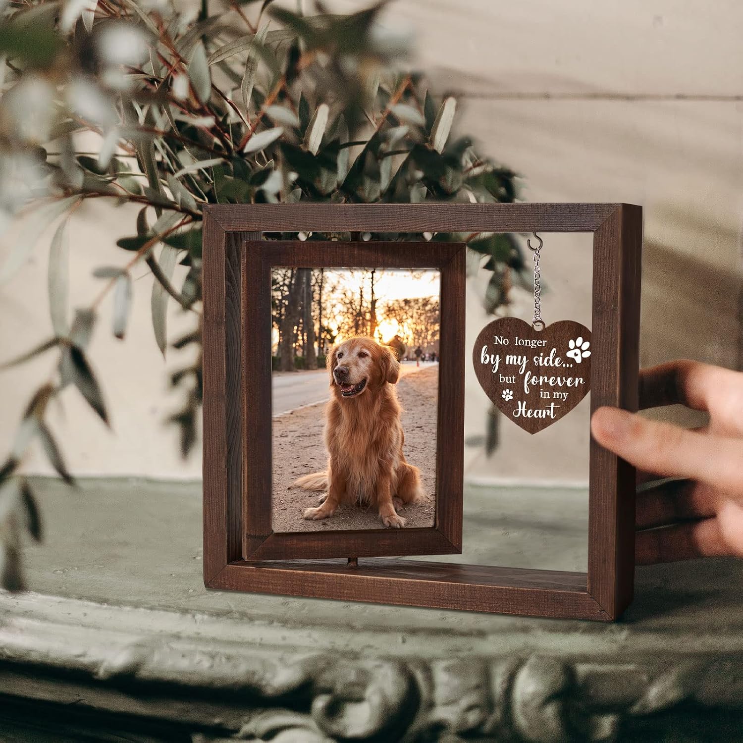 إطار صور تذكاري للحيوانات الأل - مراجعة Engraved Wood Frame وسعره