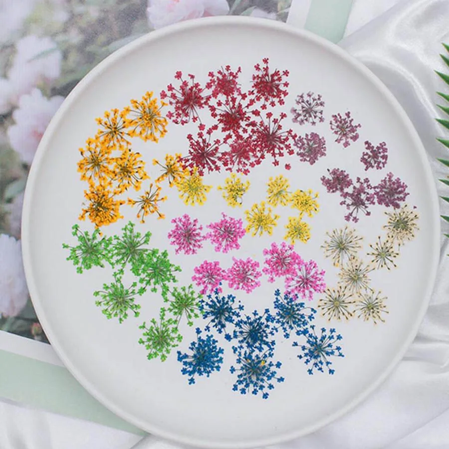 60 قطعة ضغط المجففة 20-25 مللي - مراجعة Dried Flower Bookmark وسعره