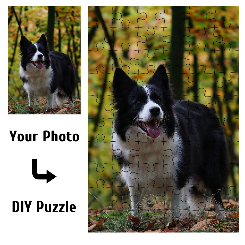 لغز صور مخصص - أحجية صور شخصية - مراجعة Pet Portrait Custom وسعره