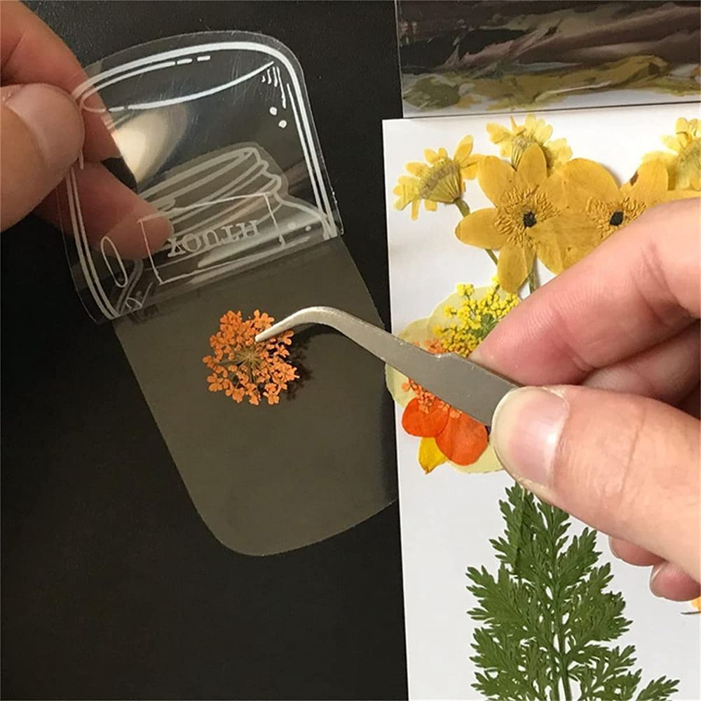 علامات كتب شفافة مجففة ، صانع  - مراجعة Dried Flower Bookmark وسعره